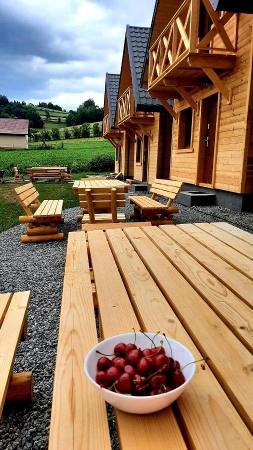 Motylowe Wzgórze Apartamenty Zawóz Zewnętrze zdjęcie