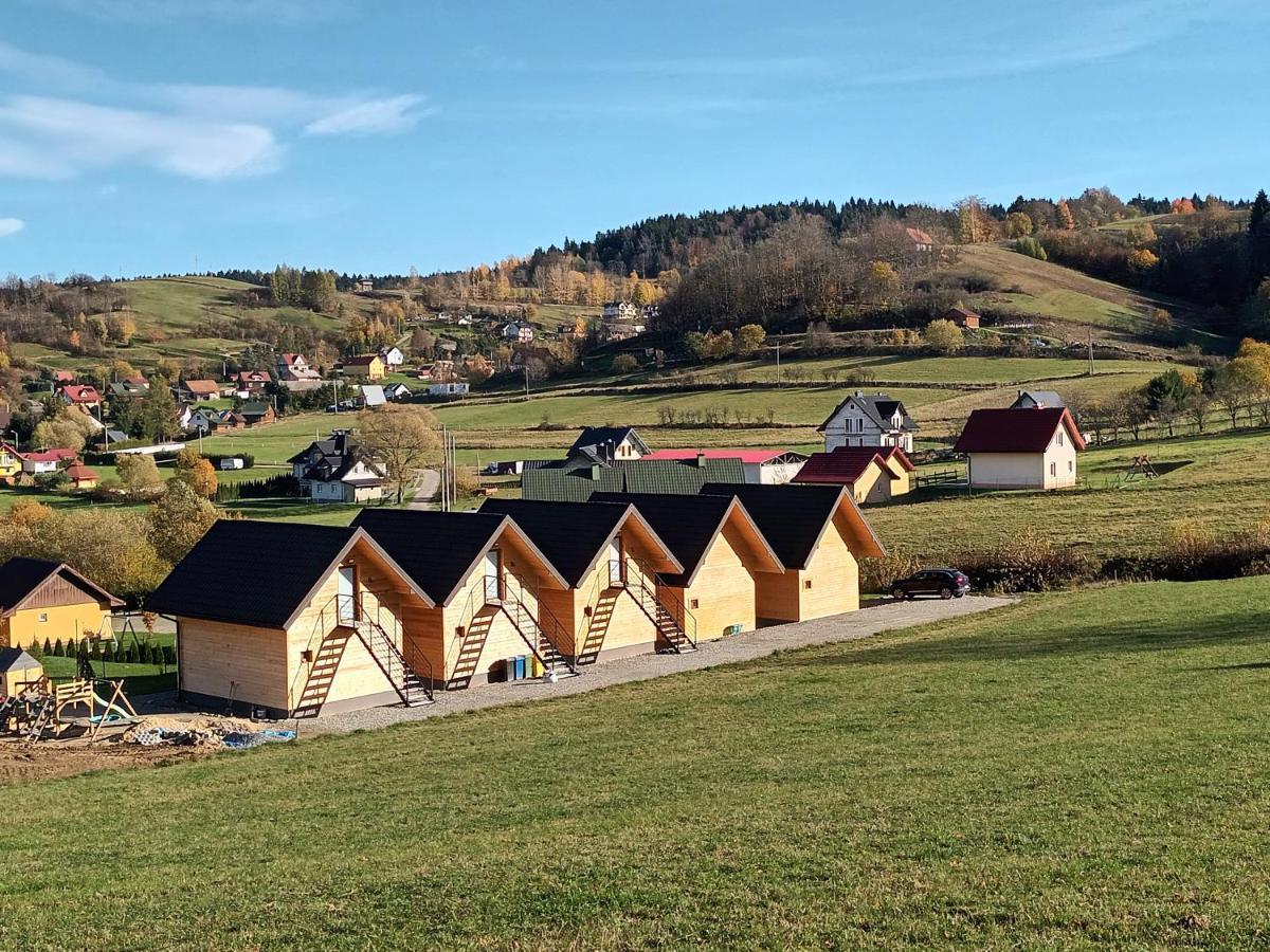 Motylowe Wzgórze Apartamenty Zawóz Zewnętrze zdjęcie