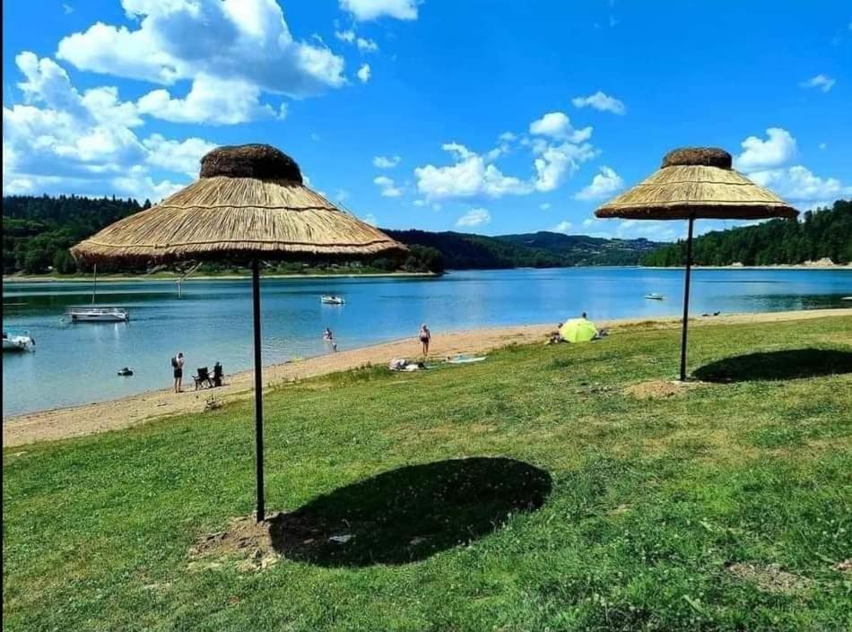Motylowe Wzgórze Apartamenty Zawóz Zewnętrze zdjęcie